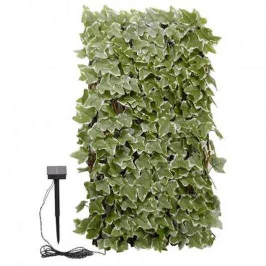 Solar In-Lit Ivy Trellis 75 LED