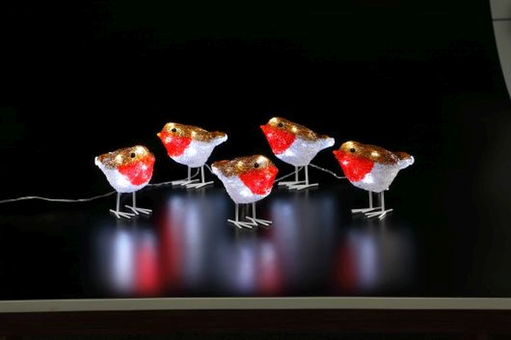 5 ACRYLIC ROBIN STRING LIGHTS