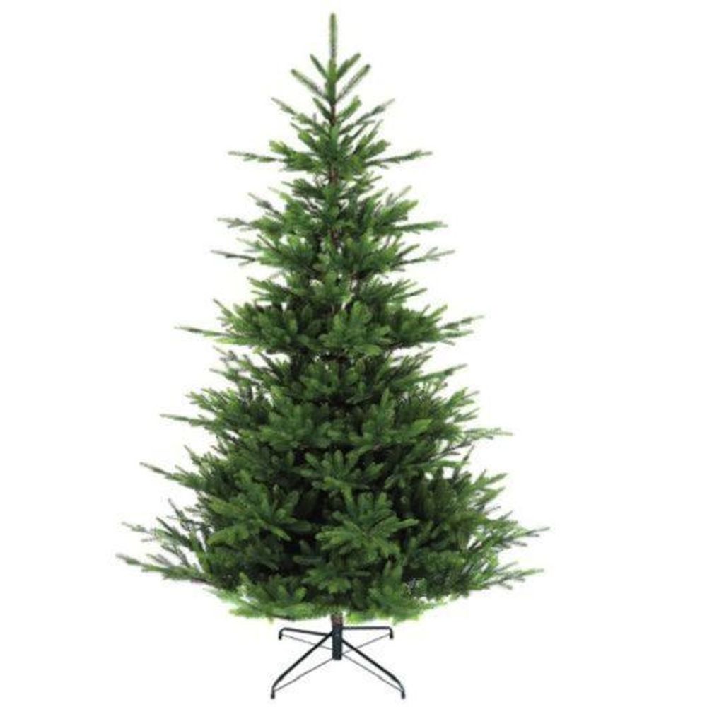 6ft NORDMAN FIR