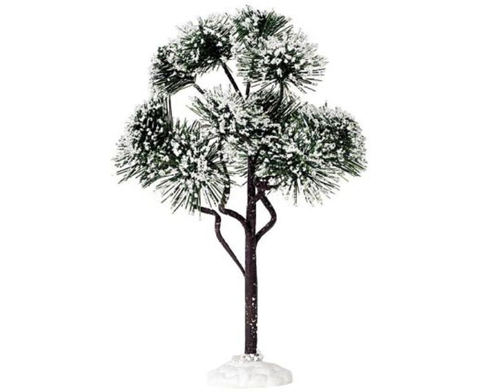 LEMAX MOUNTAIN PINE, LARGE