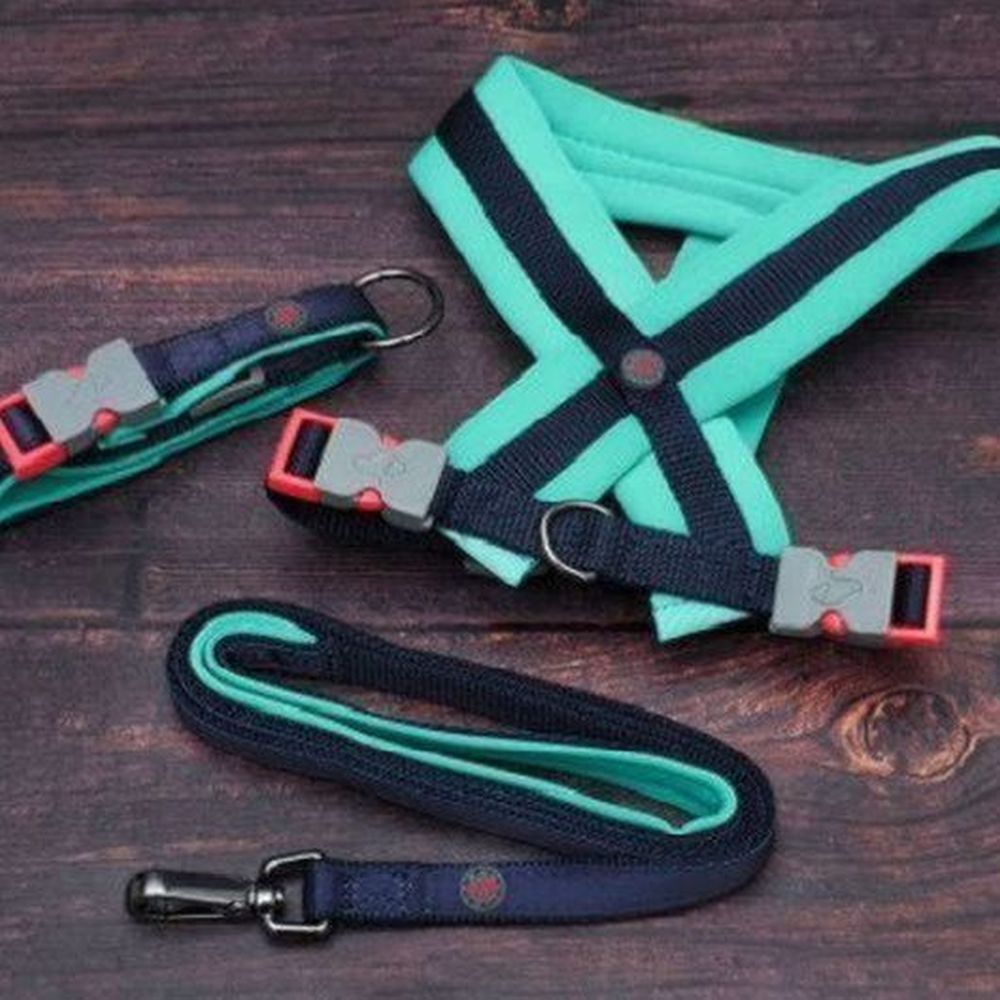 Uber-Activ Navy Padded Dog Lead - L