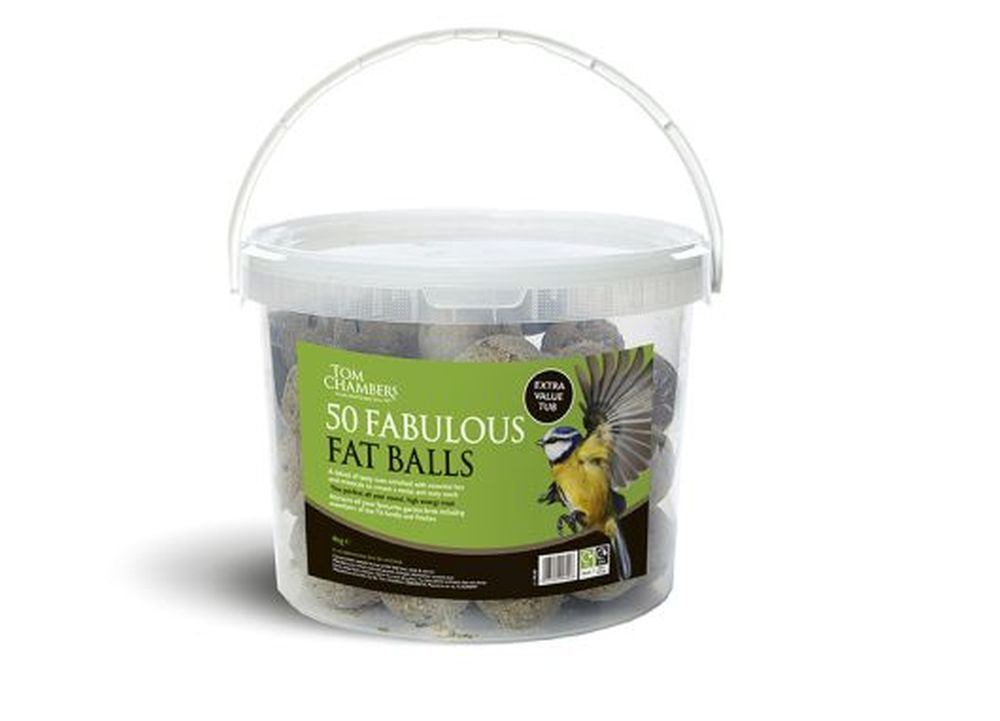 Fat Balls 50 Tub No Nets