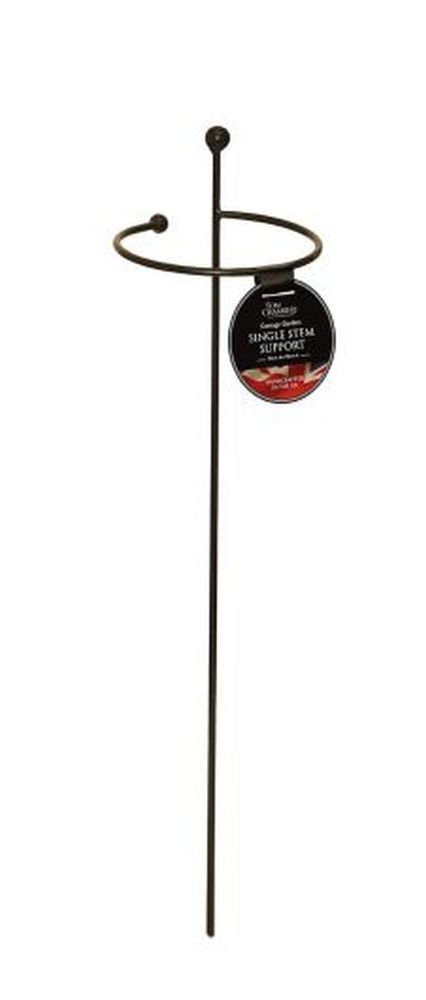Cottage Garden Single Stem Small
