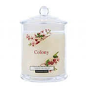 #JAR CANDLE SMALL CHERRY BLOSSOM