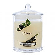 #JAR CANDLE SMALL BERRY PICKING