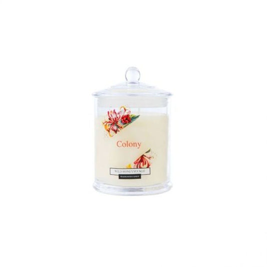 #JAR CANDLE SMALL WILD HONEYSUCKLE