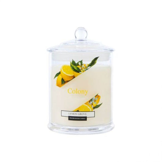 JAR CANDLE MEDIUM LEMON GROVE
