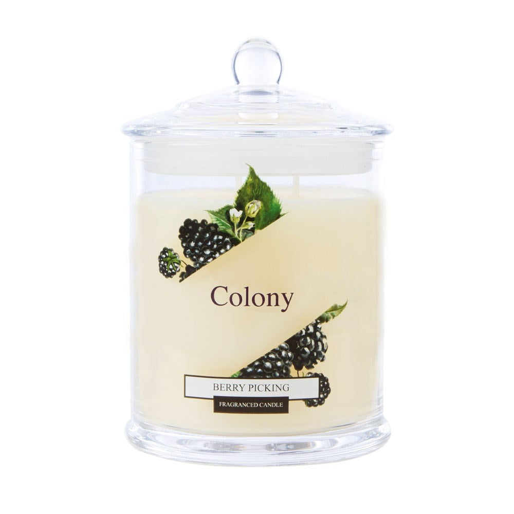 JAR CANDLE MEDIUM BERRY PICKING