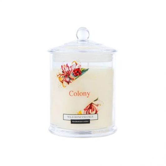 JAR CANDLE MEDIUM WILD HONEYSUCKLE