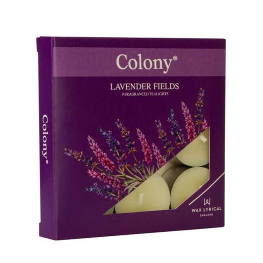 #PK/9 TEALIGHTS LAVENDER FIELDS