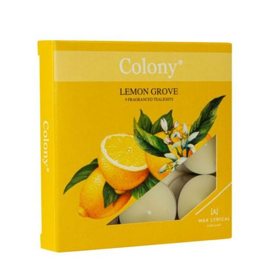 #PK/9 TEALIGHTS LEMON GROVE