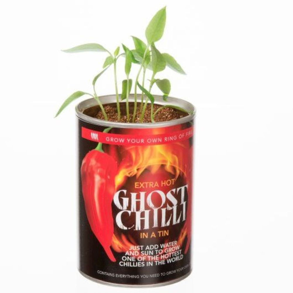 Gyo Ghost Chilli