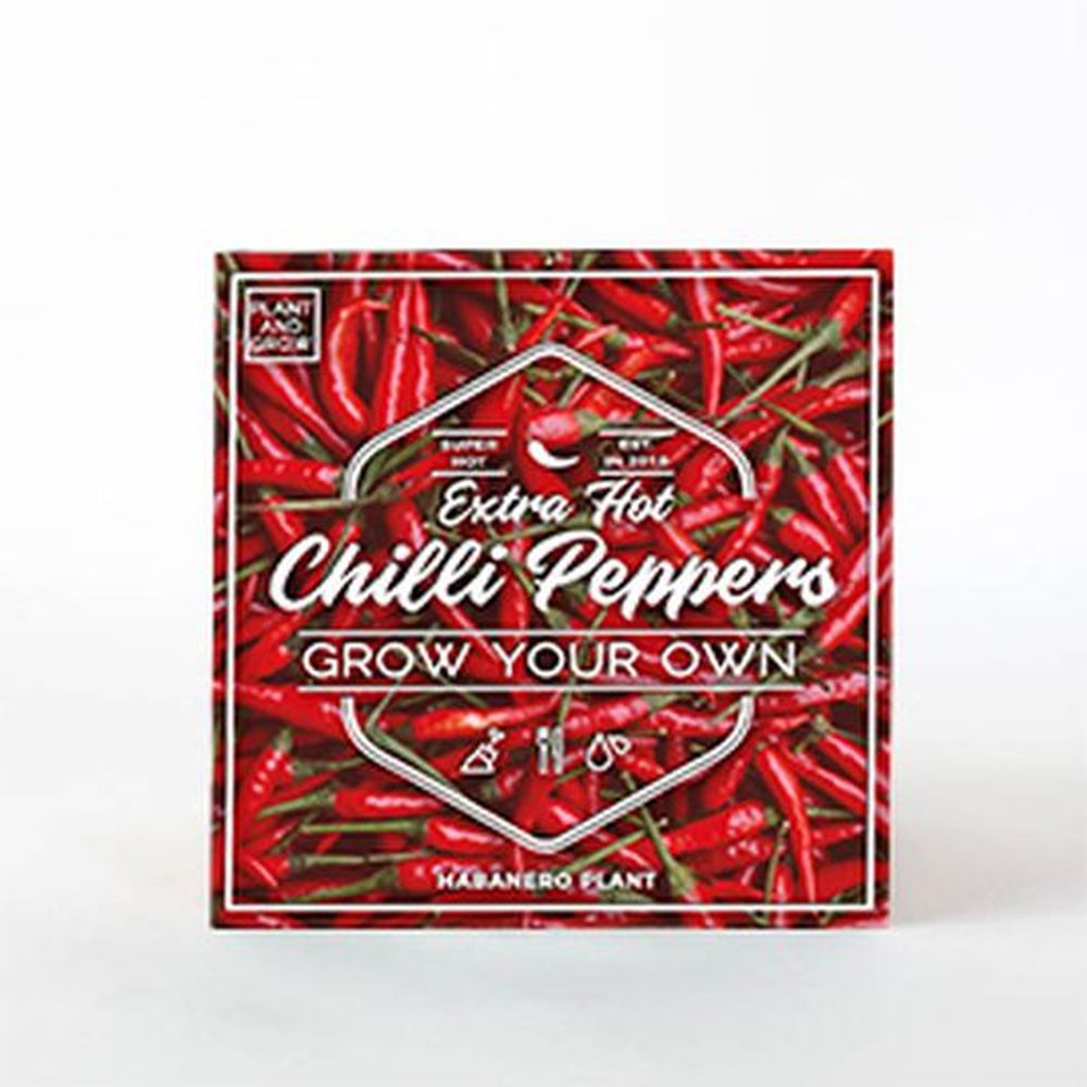 Chilli