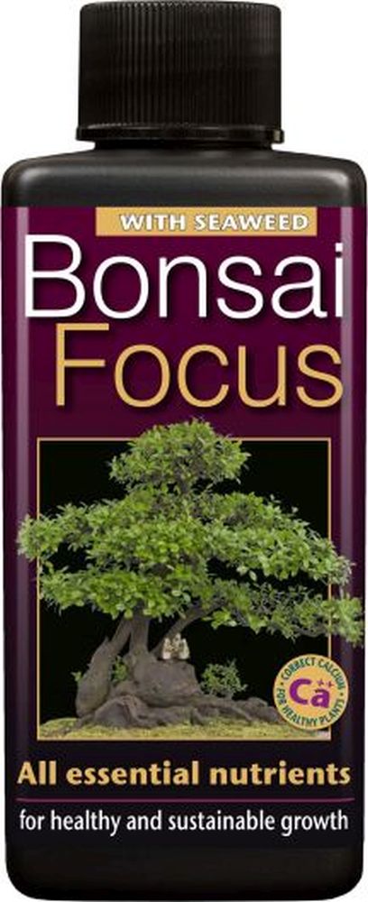 Bonsai Focus 100 ml