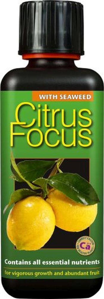 Citrus Focus 300 ml
