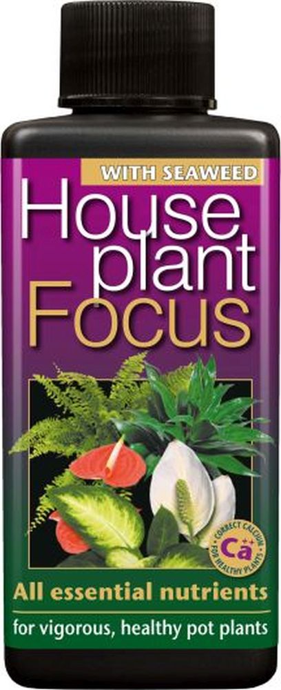 Houseplant Focus 100ML
