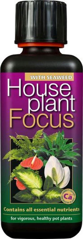 Houseplant Focus 300ML
