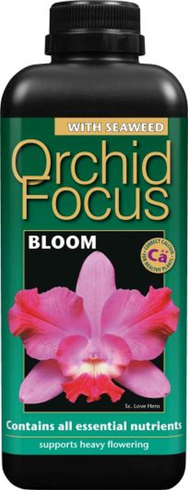 Orchid Focus Bloom 1l