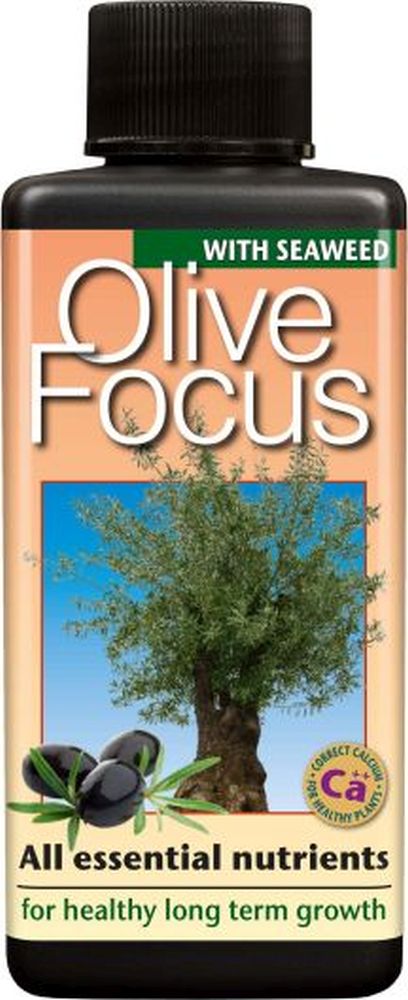 Olive Focus 100 ml