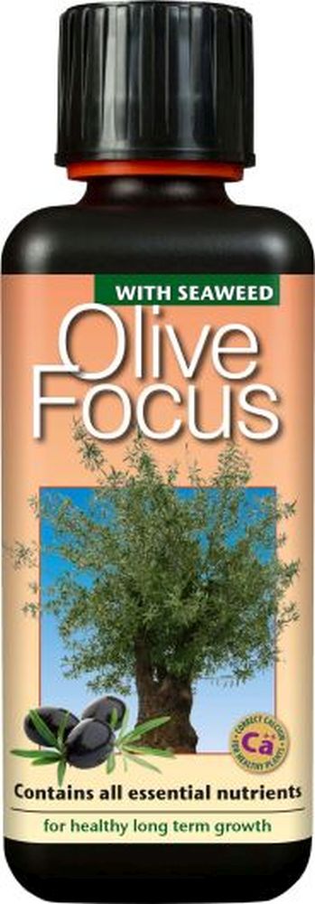 Olive Focus 300ml