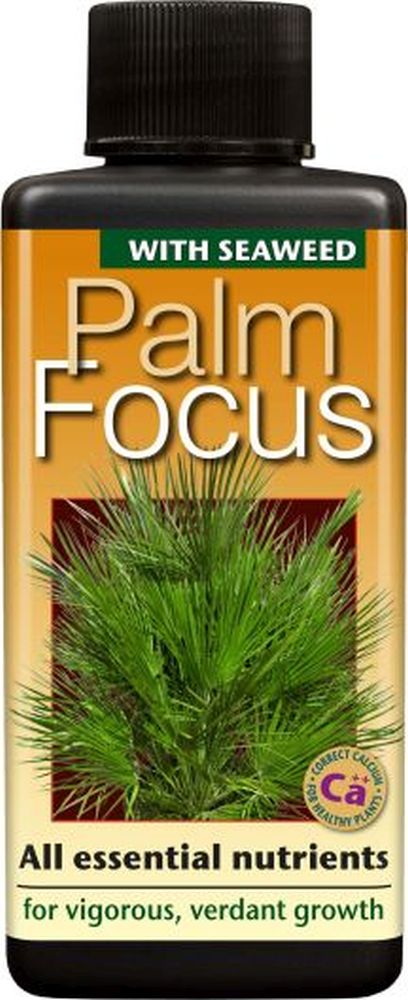 Palm Focus 100 ml