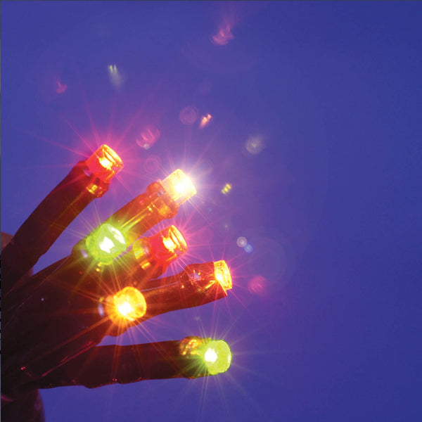 240 Multi LED String Lights