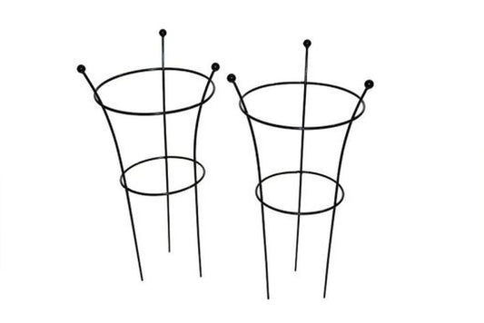 Herbaceous Support - Medium - Twin Pack