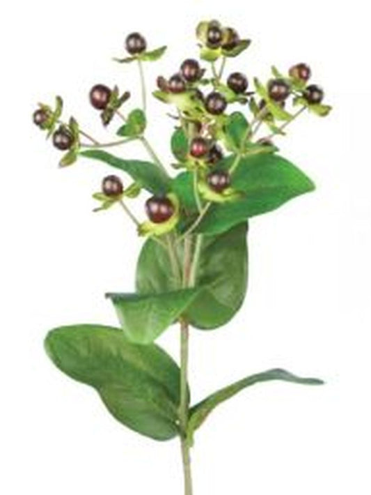 Hypericum x 23Fl & 11Lvs-72cm