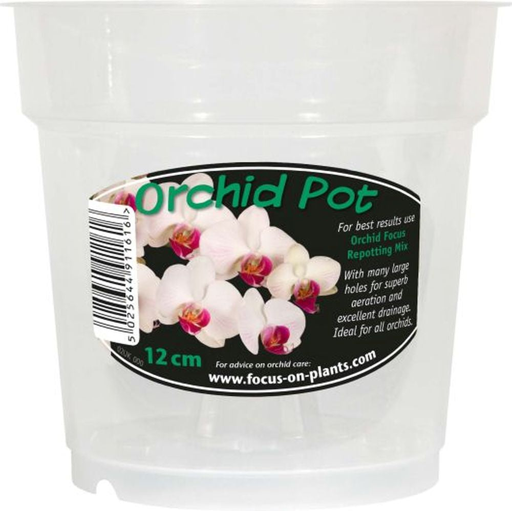 Orchid Clear Pot 12cm