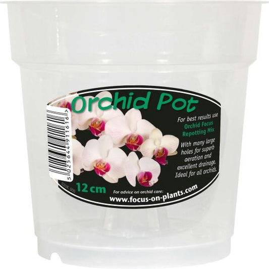 Orchid Clear Pot 12cm
