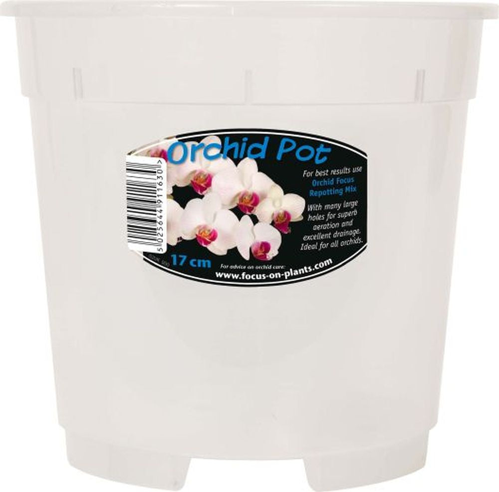 Orchid Clear Pot 17cm