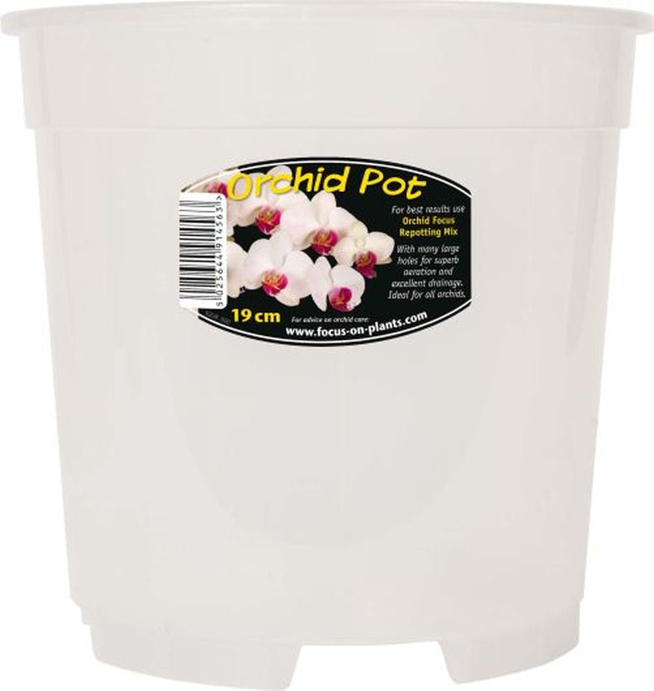 Clear Orchid Pot 19cm