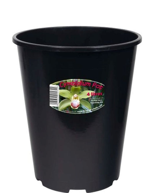 Cymbidium Orchid Pot 4 L