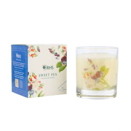 #W/F MEDIUM SWEET PEA