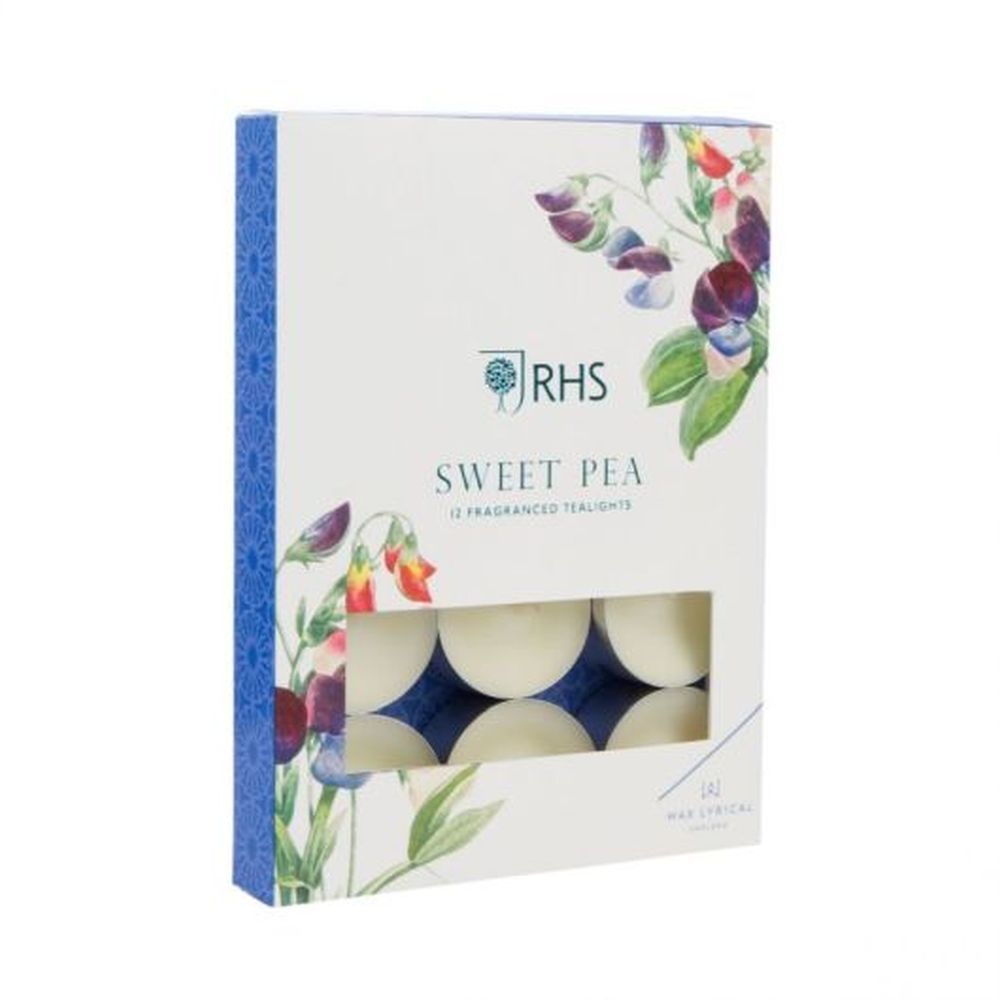 PK/12 TEALIGHT SWEET PEA