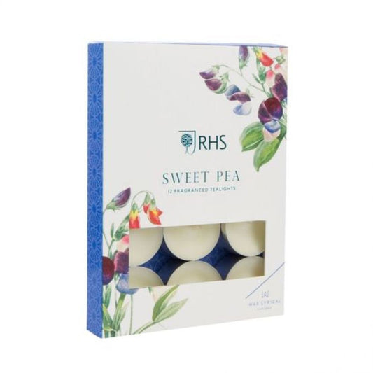 PK/12 TEALIGHT SWEET PEA