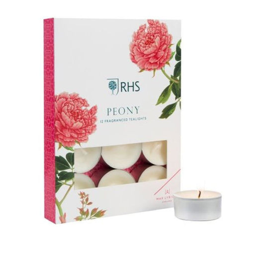 #PK/12 TEALIGHT PEONY