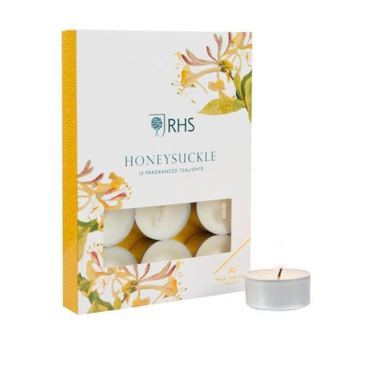 PK/12 TEALIGHT HONEYSUCKLE
