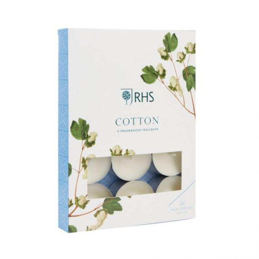 PK/12 TEALIGHT COTTON