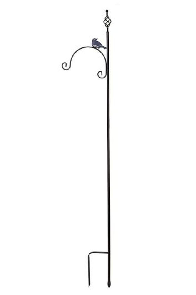 Shepherds Crook - Bird