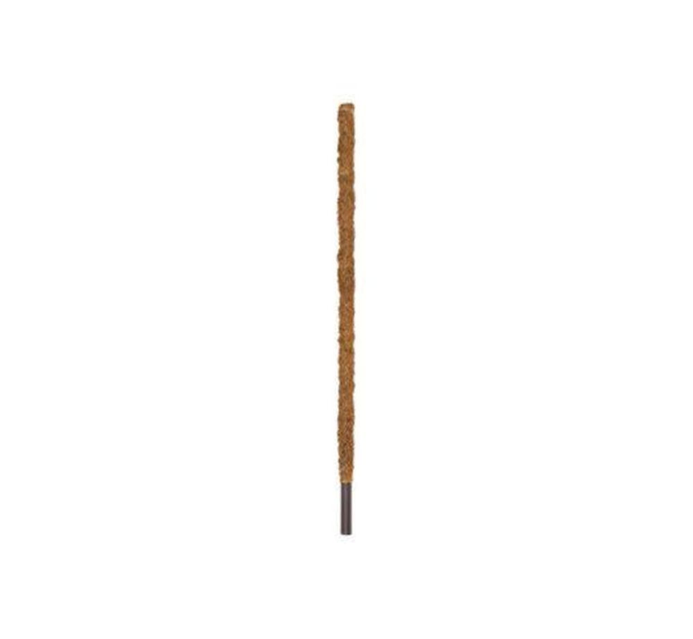 Coir Pole 1.6m