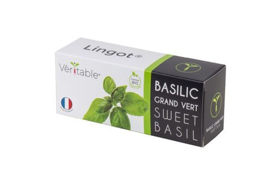 LINGOT SWEET BASIL - CLASSIC