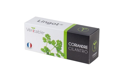 LINGOT CILANTRO - CLASSIC