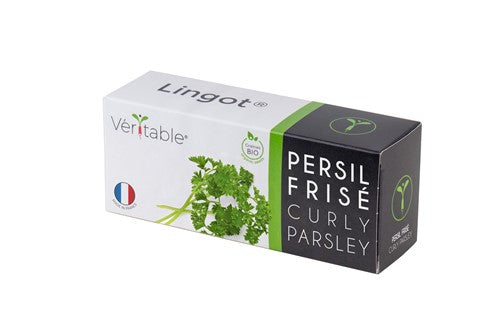 LINGOT CURLY PARSLEY - CLASSIC