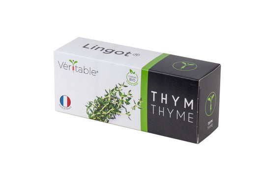 LINGOT THYME - CLASSIC