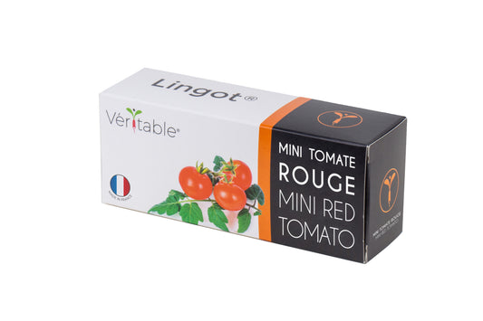LINGOT RED CHERRY TOMATO - SMALL VEGETABLES