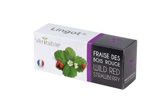 LINGOT WILD RED STRAWBERRY - FRUITS