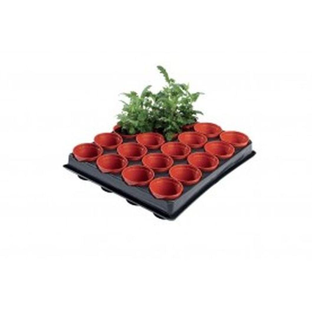 Professional Mini Seed and Cutting Tray
