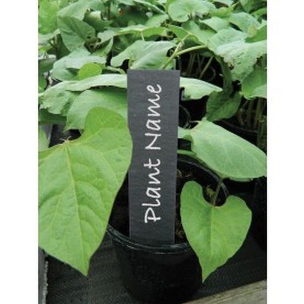 13cm (5") Slate Plant Labels (5)