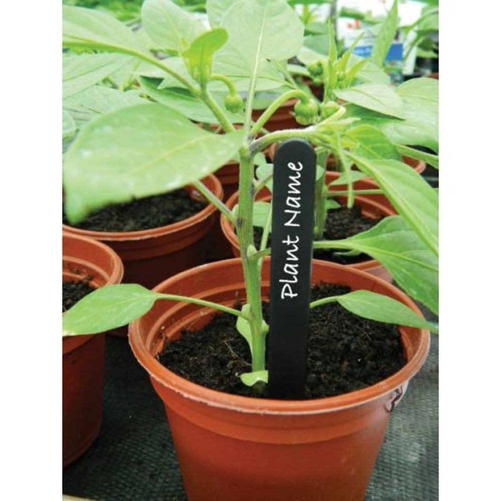 20cm (8") Black Plant Labels (20)